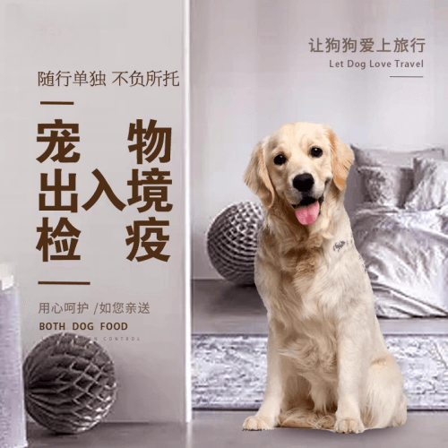 商丘市宠物托运到哥伦比亚猫狗宠物入境规定和